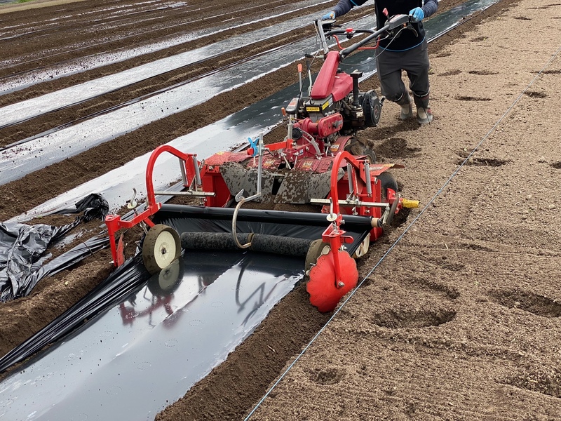 畝立て＆マルチかけ
