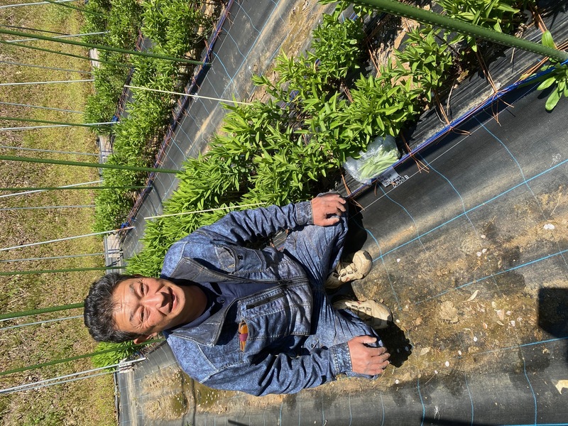 下村さん