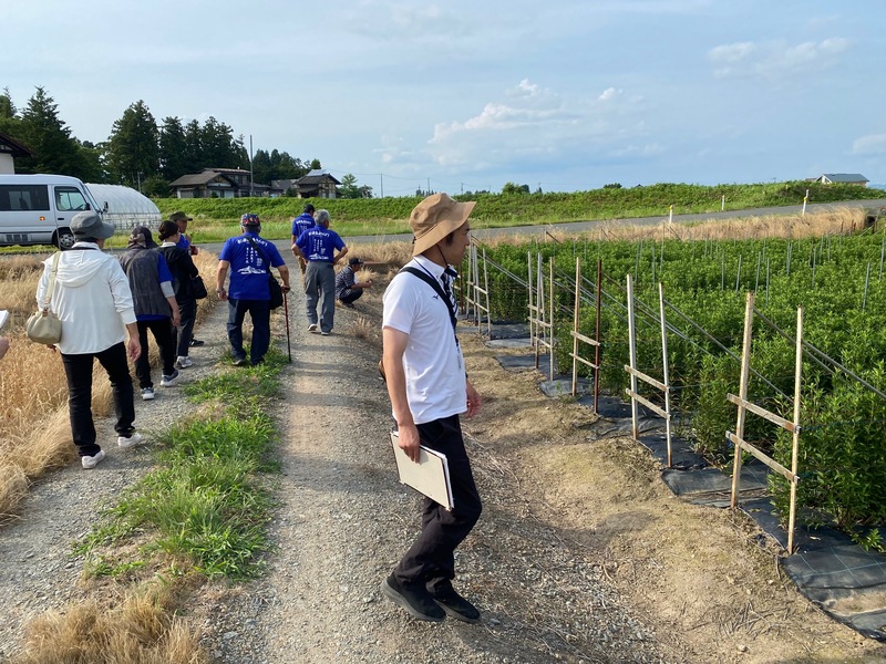 しんせい佐藤