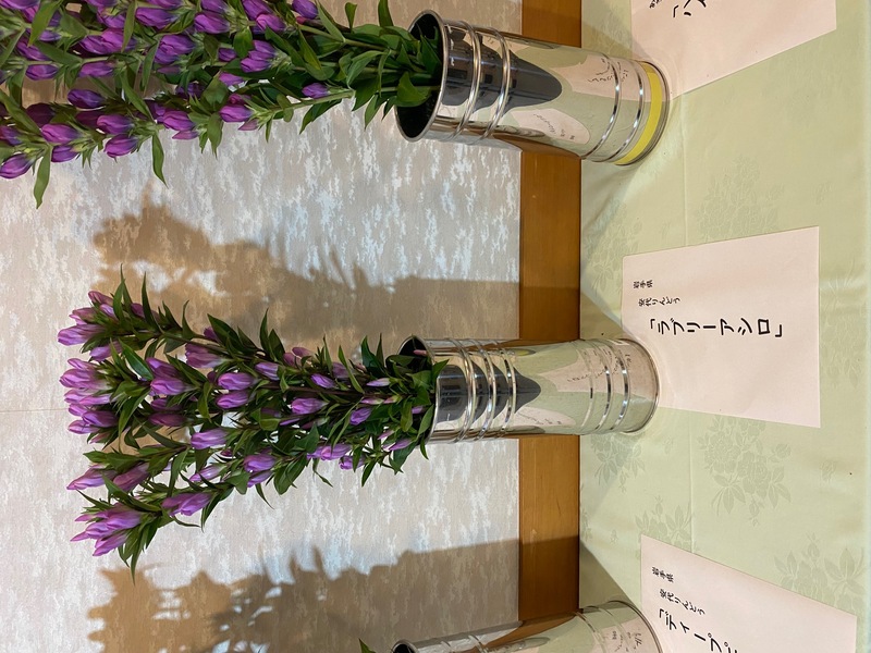 福7