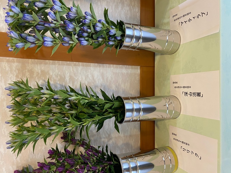 福22